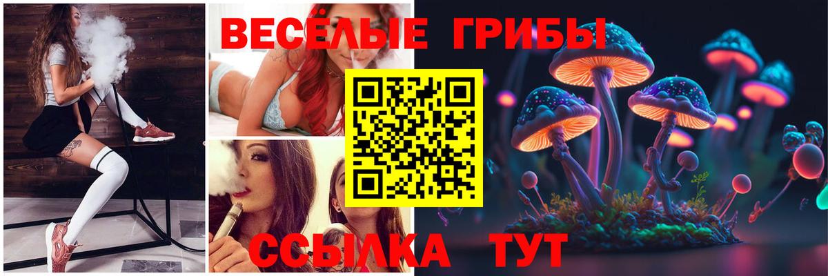 Галлюциногенные грибы Psilocybine cubensis Рославль